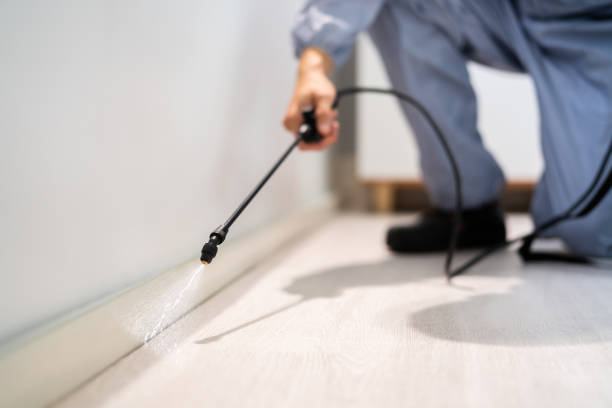 Bed Bug Pre-Treatment Preparation Assessment in Dooms