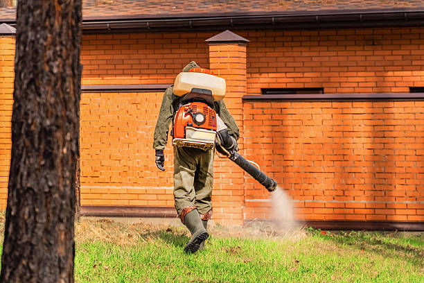 Bed Bug Clearance Verification and Documentation in Dooms